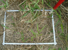 PA_1662_1_597c