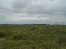 PA_1662_1_599