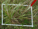 PA_1662_2_602b