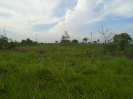 PA_1663_0_687