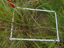 PA_1663_1_706a