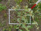 PA_1663_1_708c