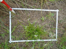 PA_1663_1_709d