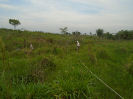 PA_1663_2_699