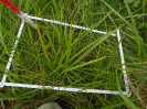 PA_1663_2_701a