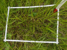 PA_1663_2_702b