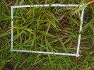PA_1663_2_703c