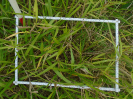 PA_1663_2_704d