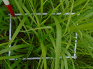 PA_1663_3_689a