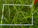 PA_1663_3_691c