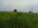 PA_1663_3_693
