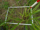 PA_1663_4_696b