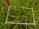 PA_1663_4_698d