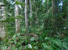 PA_1664_0_1039
