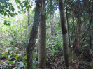 PA_1664_1_1040