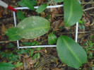 PA_1664_2_1055a