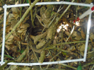 PA_1664_2_1057b