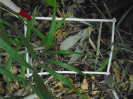 PA_1664_2_1060d