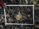 PA_1664_3_1046a
