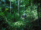 PA_1664_4_1050
