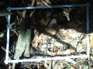 PA_1664_4_1051a