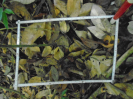 PA_1664_4_1052b