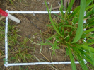 PA_1711_2_53a