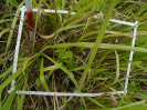 PA_1713_3_14a