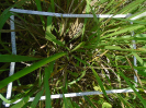 PA_1713_4_21c