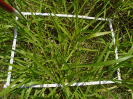 PA_1713_4_22d