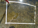 PA_1714_2_51a