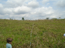 PA_1717_0_426