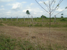 PA_1717_1_427