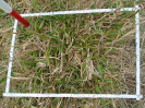 PA_1717_1_428a