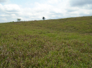 PA_1717_2_432