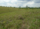 PA_1717_3_437