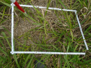 PA_1717_3_438a