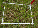 PA_1717_3_439b