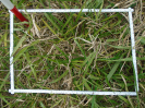 PA_1717_3_441d