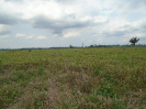 PA_1717_4_442