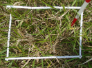 PA_1717_4_443a