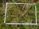 PA_1717_4_444b