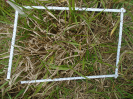 PA_1717_4_445c