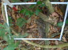 PA_1718_3_14a