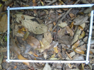PA_1718_3_15b