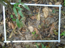 PA_1718_3_17d