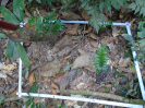 PA_1718_4_19a