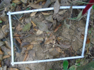 PA_1718_4_20b
