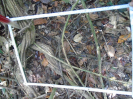 PA_1718_4_22d