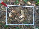 PA_1719_3_531a